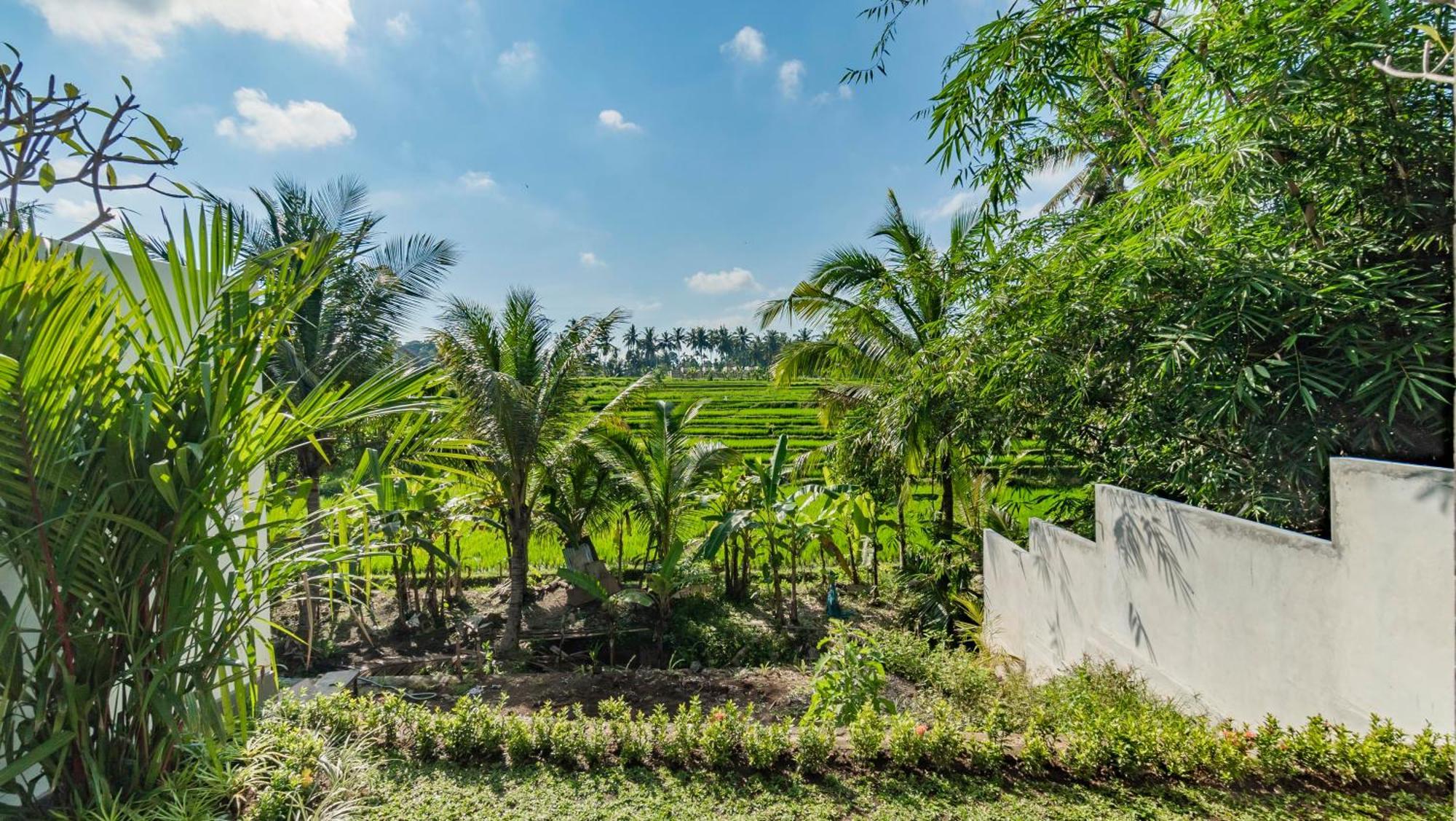 Willa Padi Luwih Ubud Zewnętrze zdjęcie