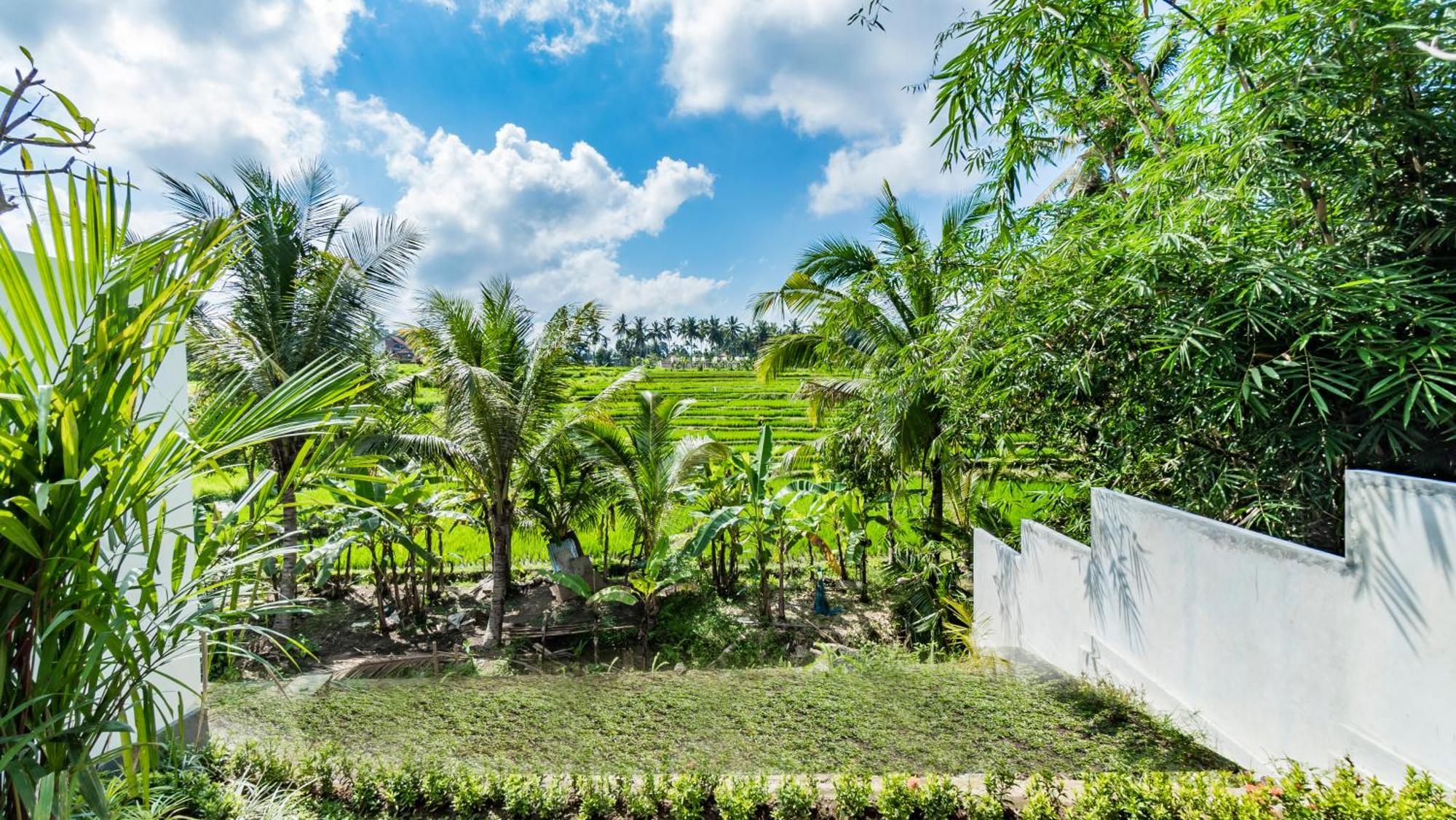 Willa Padi Luwih Ubud Zewnętrze zdjęcie